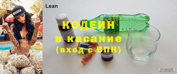 сатива Гусь-Хрустальный