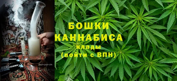 гидра Белокуриха